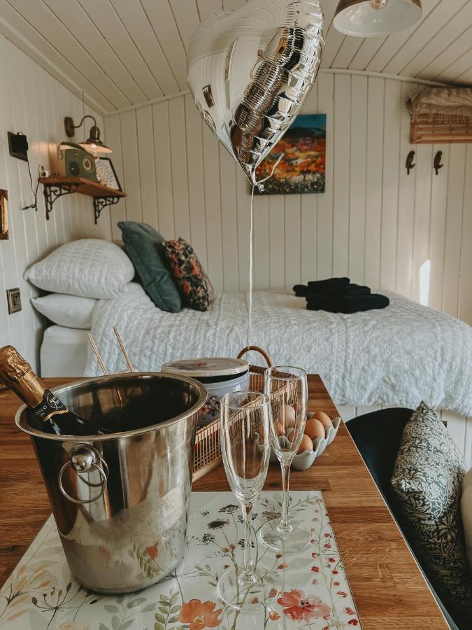 Black Hut At Slieve Croob Glamping Ballyward Екстериор снимка